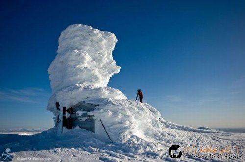 Най-интересните снимки за днес - 03.06.2010 г.