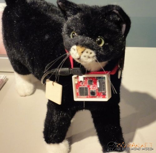 Най-интересните снимки за днес - 03.06.2010 г.