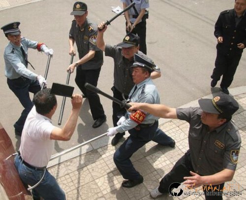 Най-интересните снимки за днес - 03.06.2010 г.