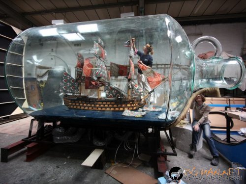 Най-интересните снимки за днес - 03.06.2010 г.