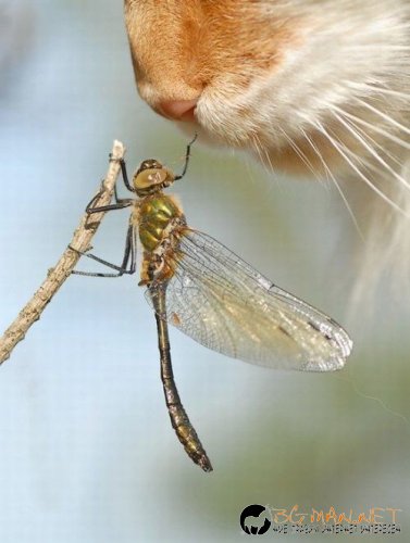 Най-интересните снимки за днес - 03.06.2010 г.