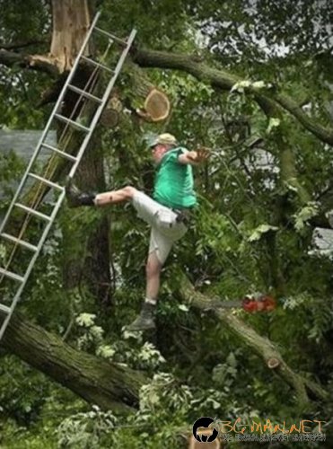 Най-интересните снимки за днес - 03.06.2010 г.