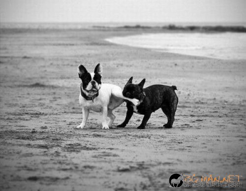 Най-интересните снимки за днес - 03.06.2010 г.