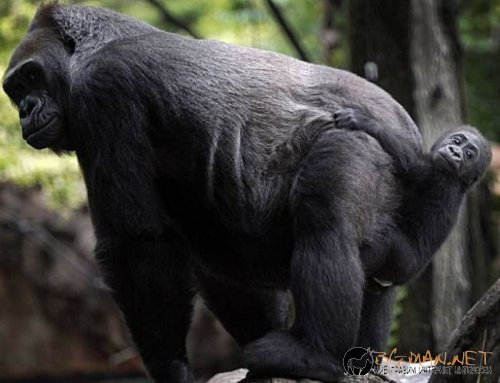 Най-интересните снимки за днес - 03.06.2010 г.