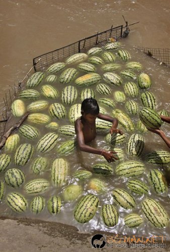 Най-интересните снимки за днес - 03.06.2010 г.