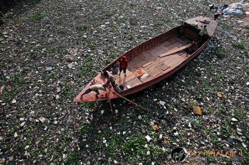 Най-интересните снимки за днес - 03.06.2010 г.