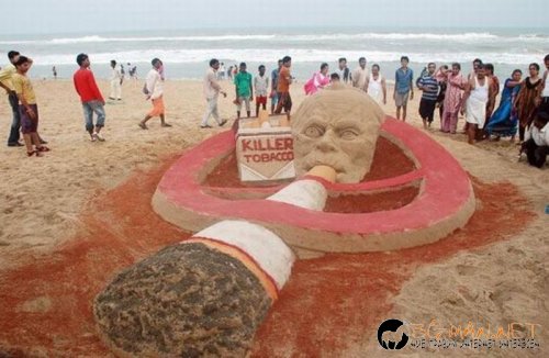 Най-интересните снимки за днес - 03.06.2010 г.