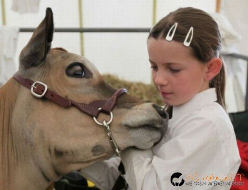 Най-интересните снимки за днес - 03.06.2010 г.