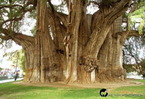 Най-интересните снимки за днес - 03.06.2010 г.