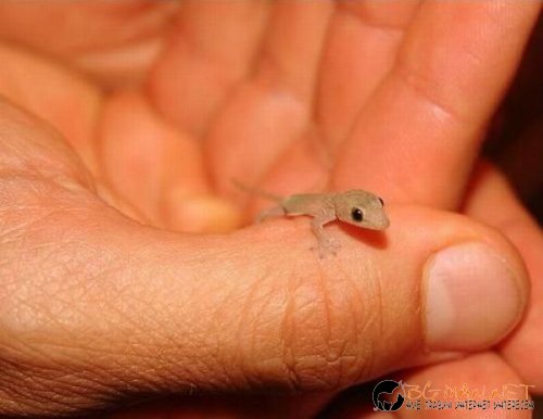 Най-интересните снимки за днес - 03.06.2010 г.