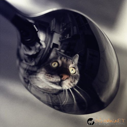 Най-интересни снимки за днес - 04.06.2010 г.