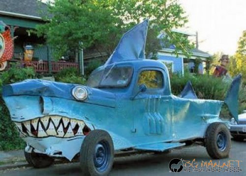 Най-интересни снимки за днес - 04.06.2010 г.