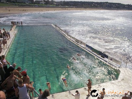 Най-интересни снимки за днес - 04.06.2010 г.