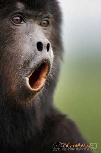 Най-интересни снимки за днес - 04.06.2010 г.