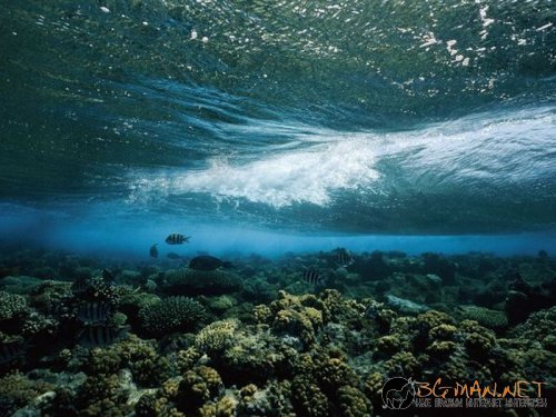 Най-интересни снимки за днес - 04.06.2010 г.