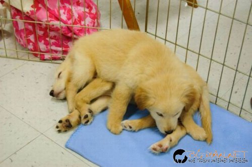 Най-интересни снимки за днес - 04.06.2010 г.