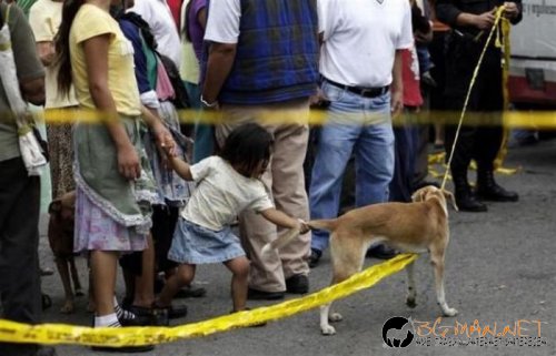 Най-интересни снимки за днес - 04.06.2010 г.