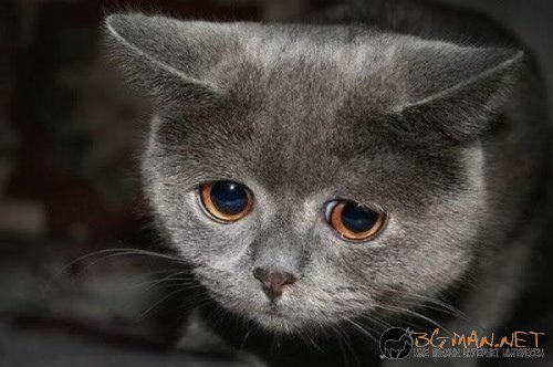 Най-интересни снимки за днес - 04.06.2010 г.