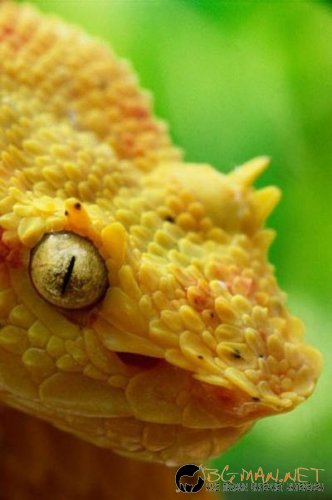 Най-интересни снимки за днес - 04.06.2010 г.