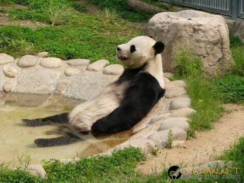 Най-интересни снимки за днес - 04.06.2010 г.