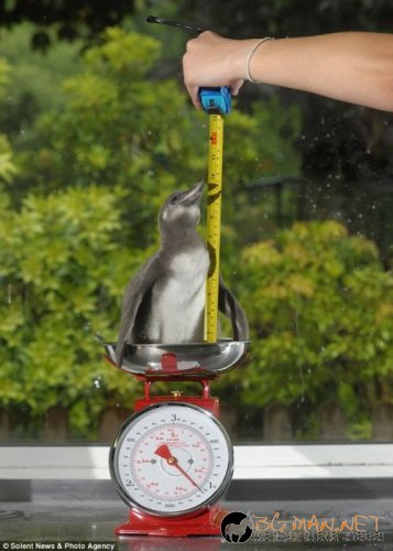 Най-интересни снимки за днес - 04.06.2010 г.