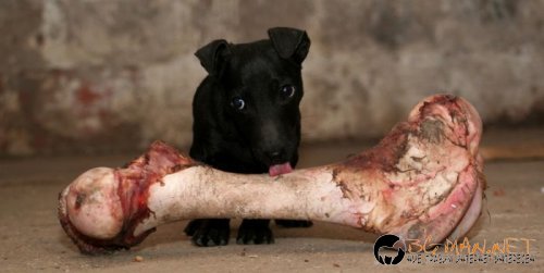 Най-интересни снимки за днес - 04.06.2010 г.