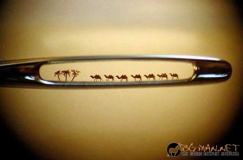 Най-интересни снимки за днес - 04.06.2010 г.