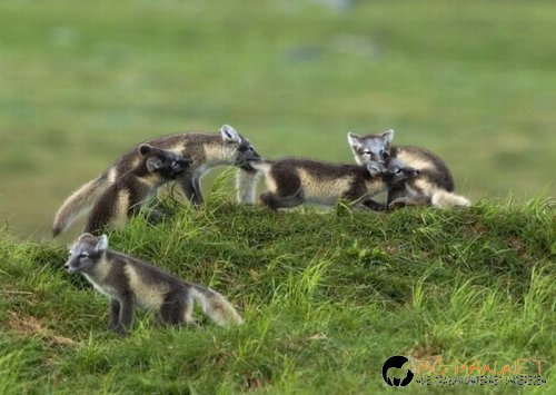 Най-интересни снимки за днес - 04.06.2010 г.