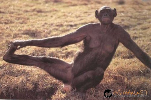 Най-интересни снимки за днес - 04.06.2010 г.