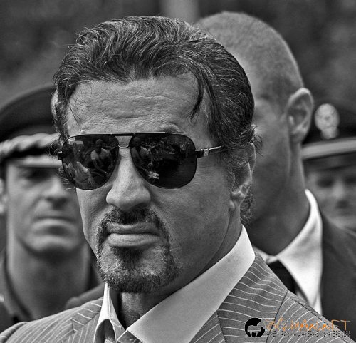 Най-интересни снимки за днес - 04.06.2010 г.