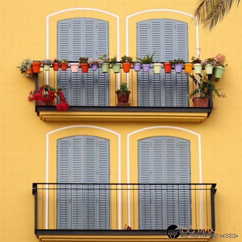 Най-интересни снимки за днес - 04.06.2010 г.