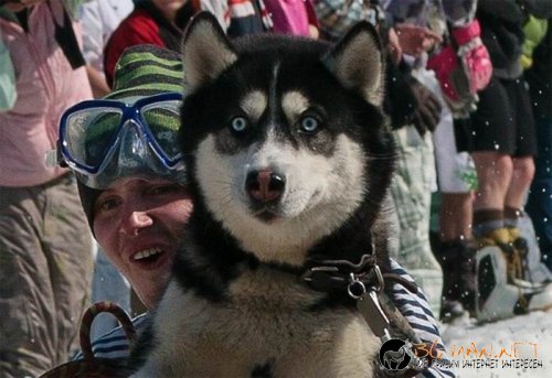 Най-интересни снимки за днес - 04.06.2010 г.