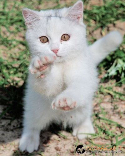 Най-интересни снимки за днес - 04.06.2010 г.