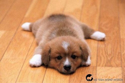 Най-интересни снимки за днес - 04.06.2010 г.