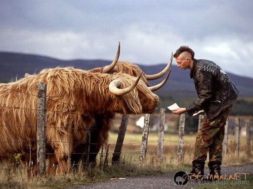 Най-интересни снимки за днес - 04.06.2010 г.