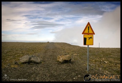 Най-интересни снимки за днес - 04.06.2010 г.