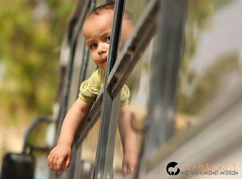 Най-интересни снимки за днес - 04.06.2010 г.