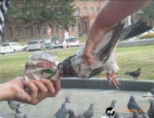 Най-интересни снимки за днес - 04.06.2010 г.