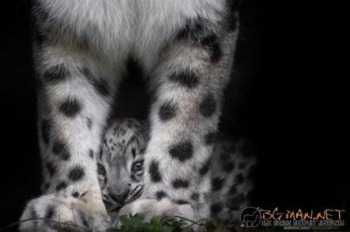 Най-интересни снимки за днес - 04.06.2010 г.