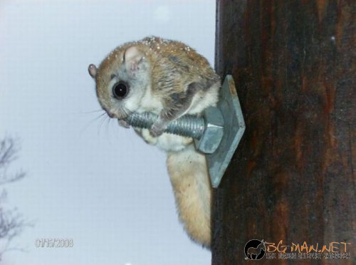 Най-интересни снимки за днес - 04.06.2010 г.