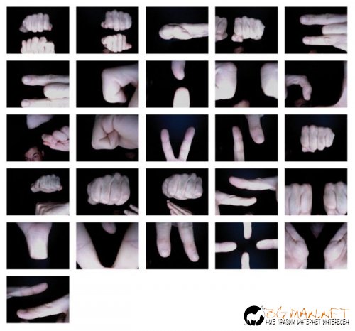 Най-интересни снимки за днес - 04.06.2010 г.