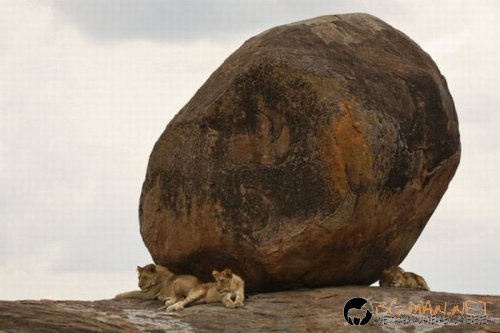 Най-интересни снимки за днес - 04.06.2010 г.