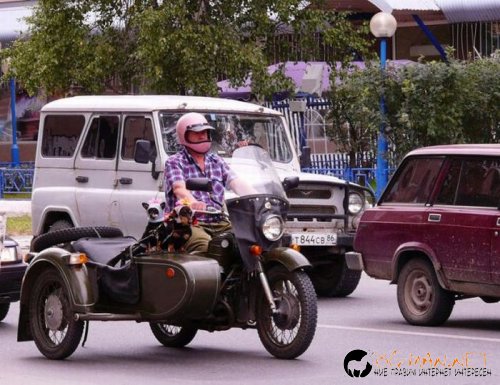 Най-интересни снимки за днес - 04.06.2010 г.