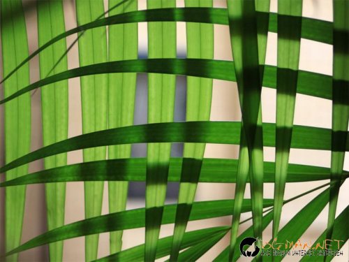 Най-интересни снимки за днес - 04.06.2010 г.