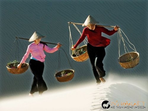 Най-интересни снимки за днес - 04.06.2010 г.