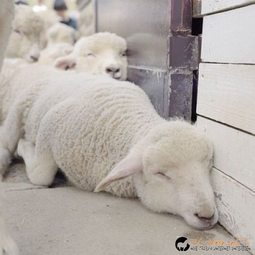 Най-интересни снимки за днес - 04.06.2010 г.