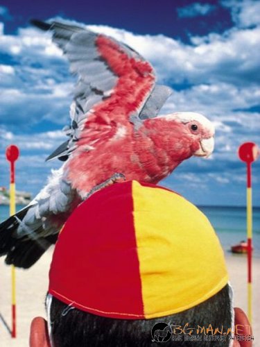 Най-интересни снимки за днес - 04.06.2010 г.