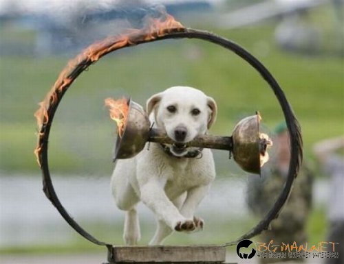 Най-интересни снимки за днес - 04.06.2010 г.