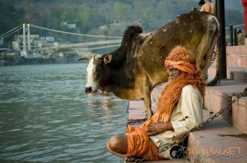 Най-интересни снимки за днес - 04.06.2010 г.