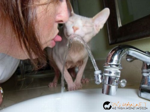 Най-интересни снимки за днес - 04.06.2010 г.